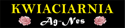 Kwiaciarnia Ag-Nes Agnieszka Czelej - logo